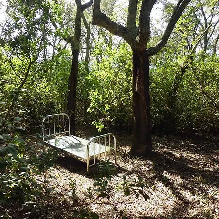 아파트 Valle De *