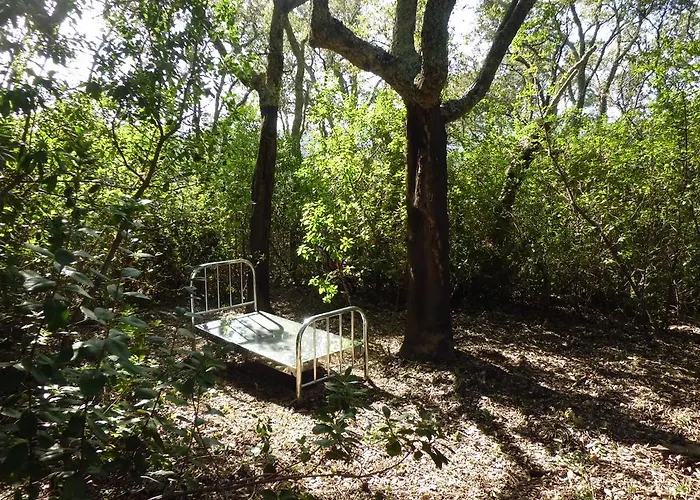 아파트 Valle De *